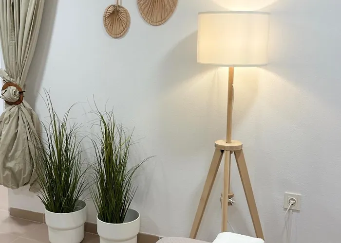 Avocadohome * カルプ