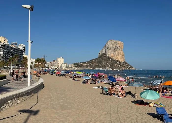 Avocadohome * カルプ