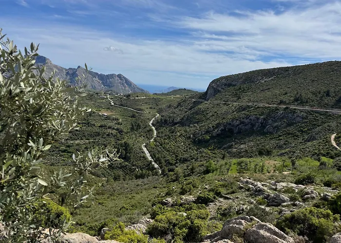 Avocadohome * カルプ