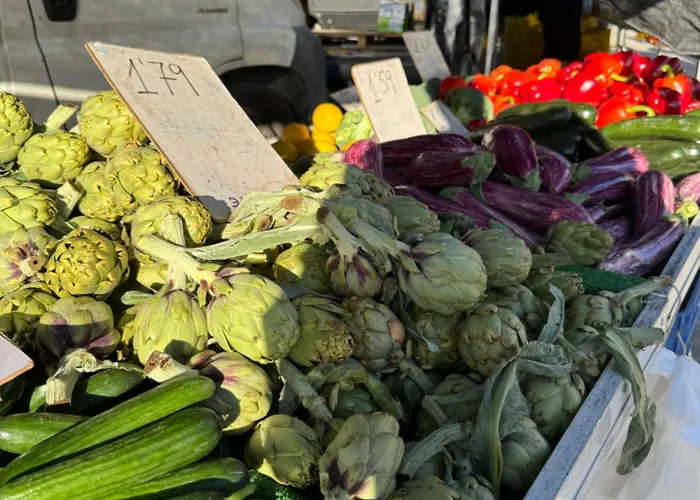 ヴィラ Avocadohome カルプ