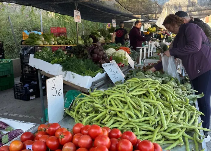 ヴィラ Avocadohome *