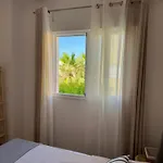 Avocadohome