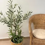 Avocadohome