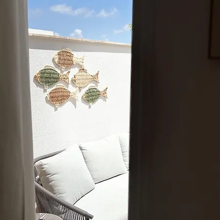 فيلة Avocadohome كاليبي